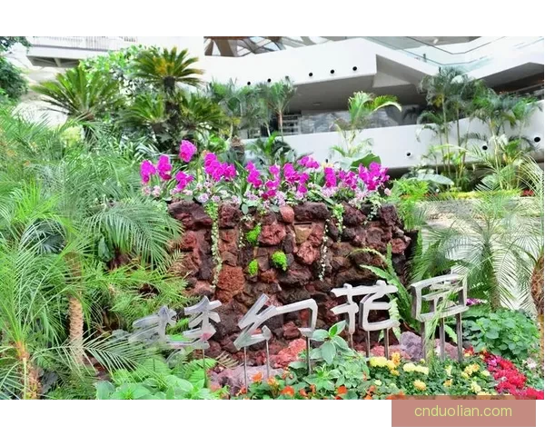 Z00z00z00z00sool兽跨界奇幻旅程揭示未来科研与自然共生